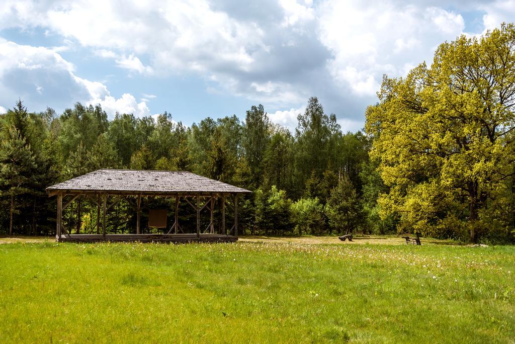 Vabalyne Guest House Vilkiskes Bagian luar foto