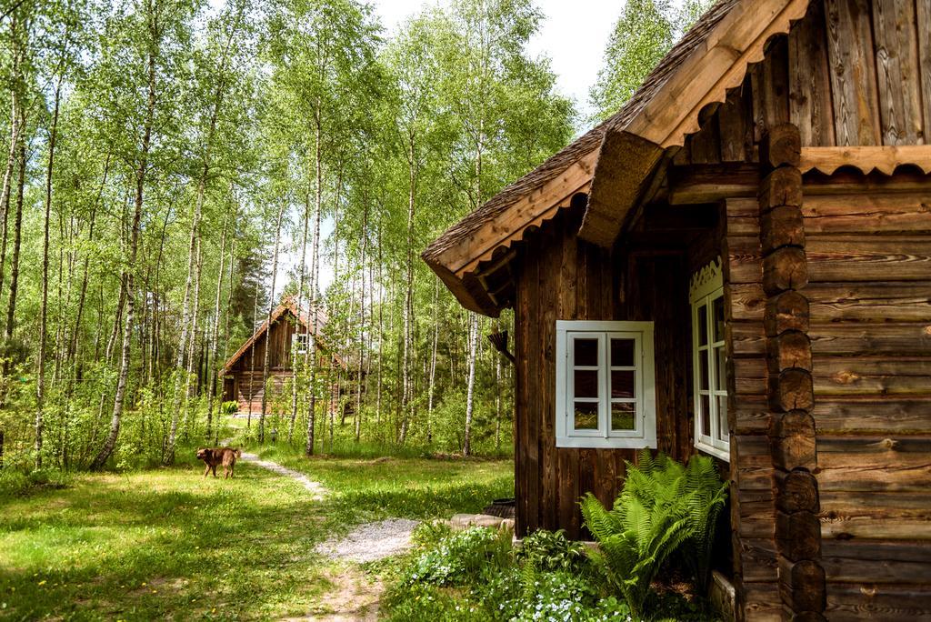 Vabalyne Guest House Vilkiskes Bagian luar foto