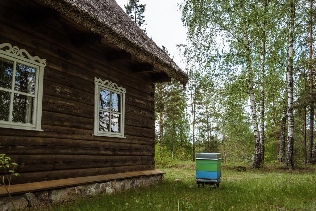 Vabalyne Guest House Vilkiskes Bagian luar foto